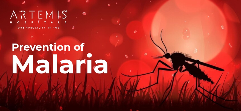 Top 12 Methods for Prevention of Malaria in 2024